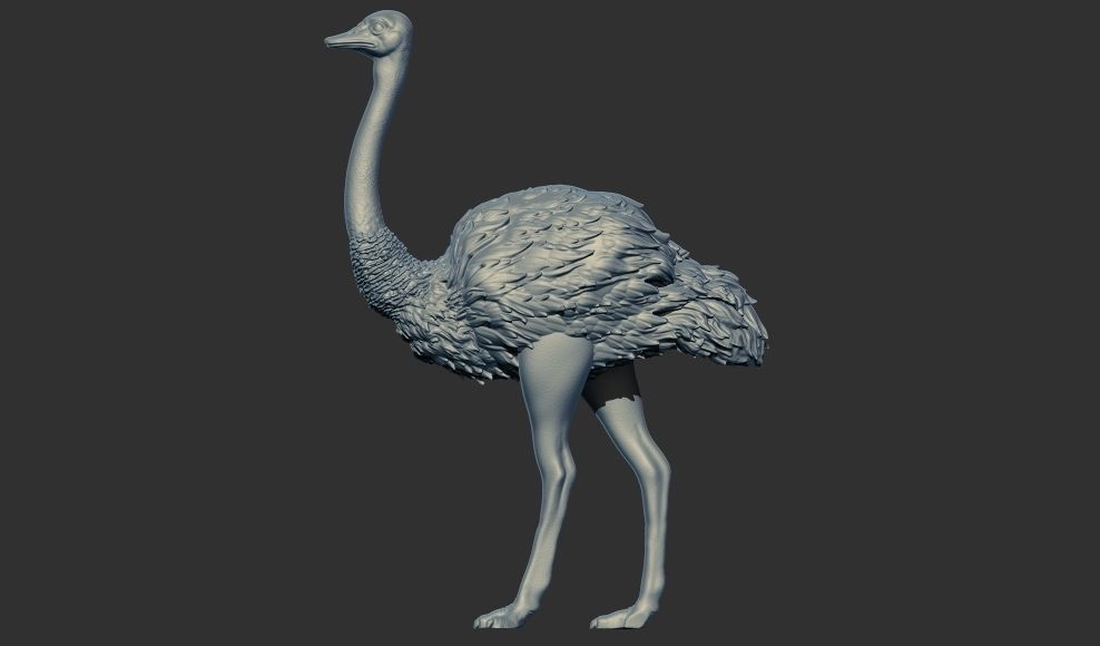ostrich 3D print model 3D print model_4