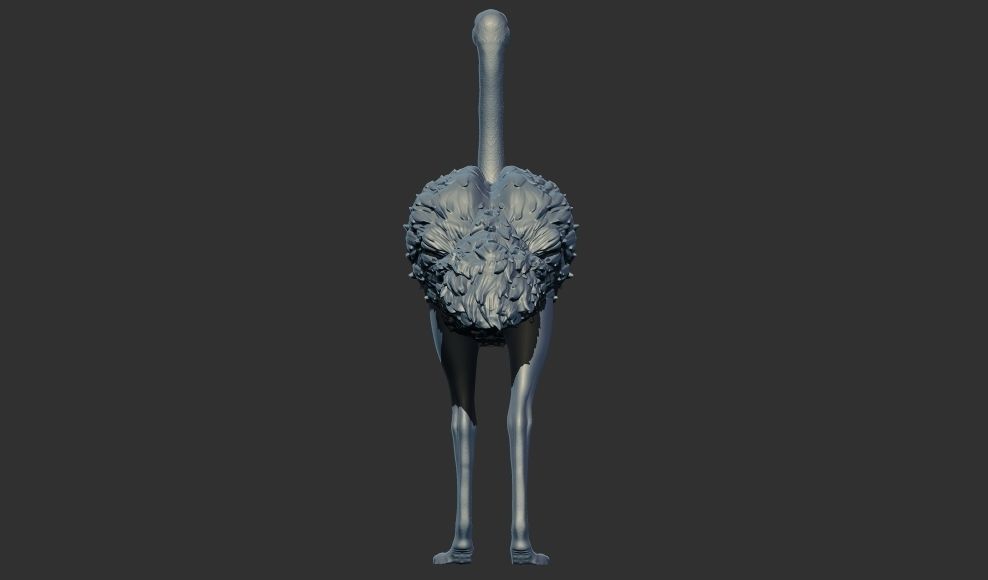 ostrich 3D print model 3D print model_3