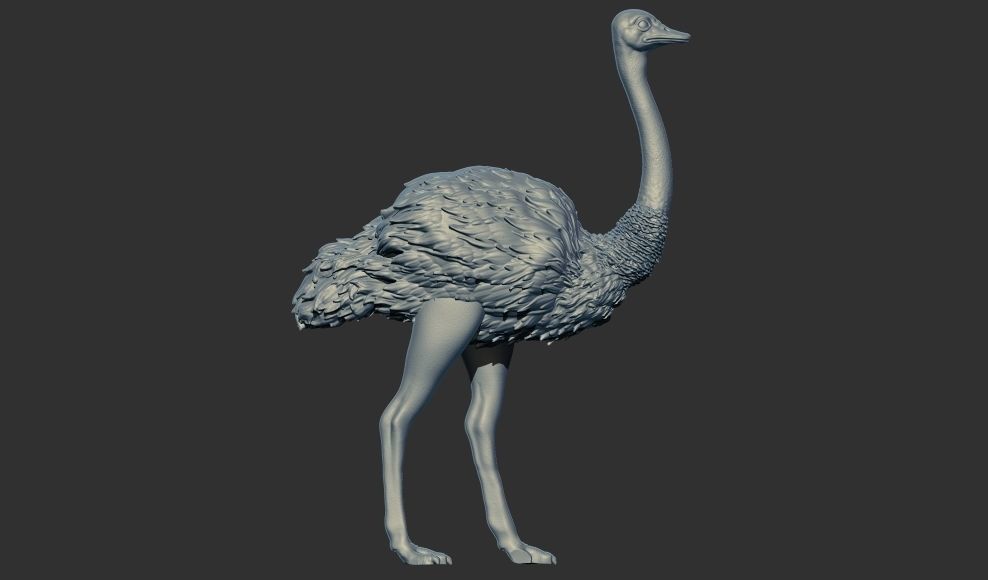 ostrich 3D print model 3D print model_6