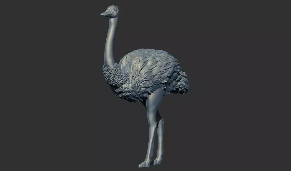 ostrich 3D print model 3D print model_0