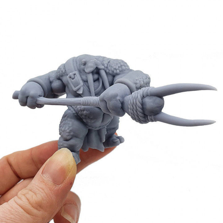 Walrus Men 3D print model_2