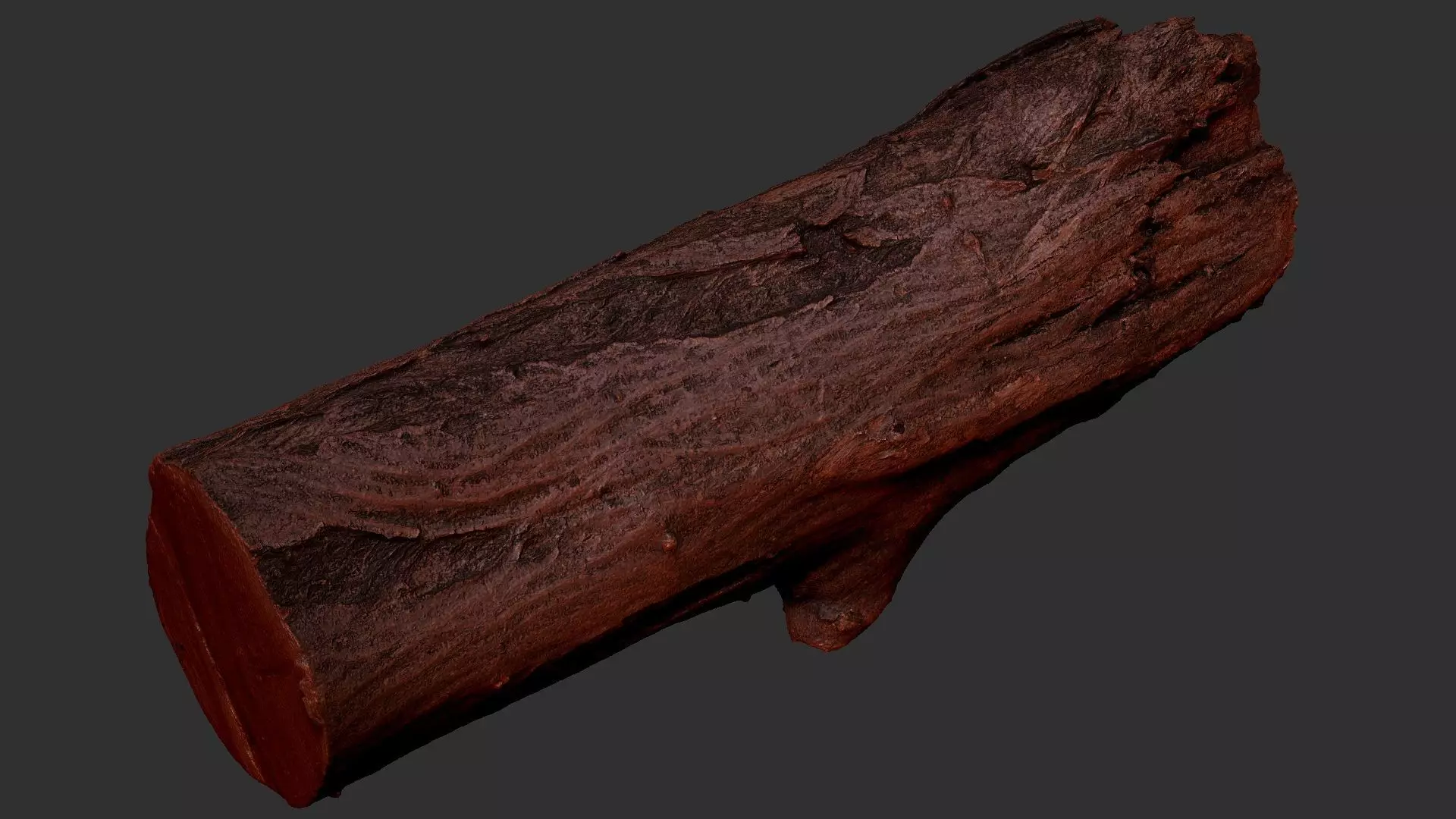 Sawn tree trunk wood 3d scan highpoly 3D model_16