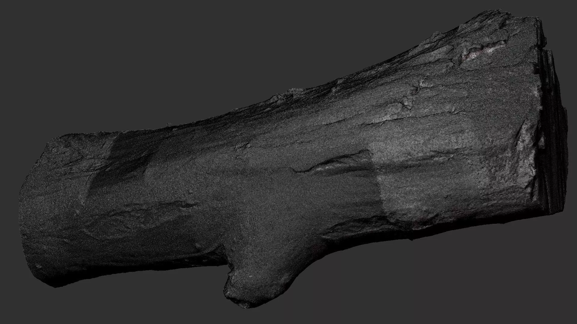 Sawn tree trunk wood 3d scan highpoly 3D model_25