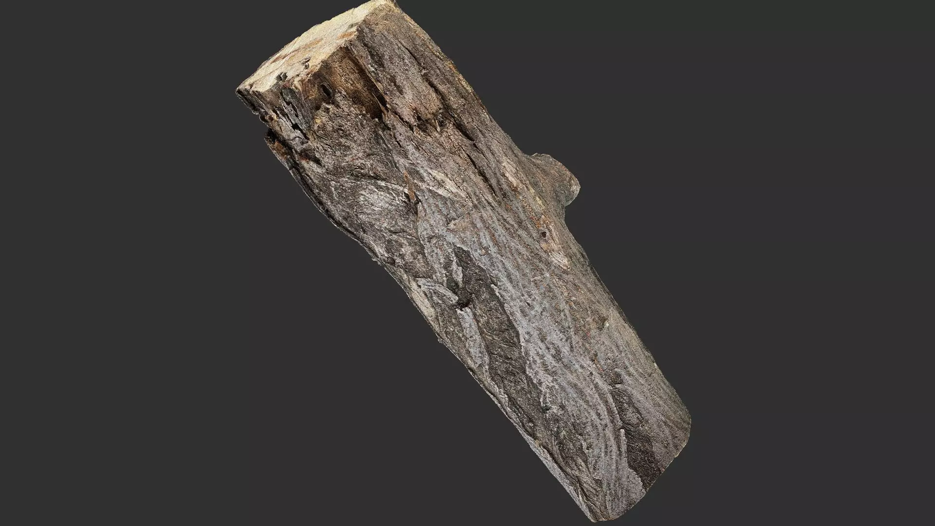 Sawn tree trunk wood 3d scan highpoly 3D model_12