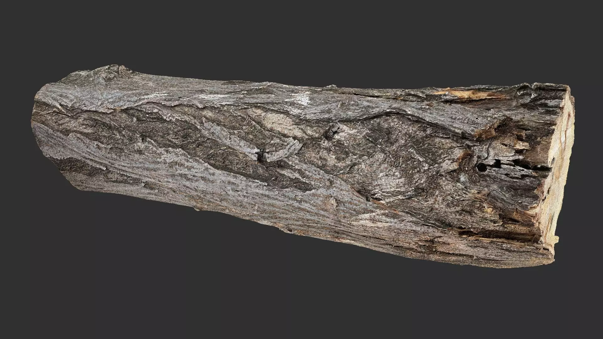 Sawn tree trunk wood 3d scan highpoly 3D model_17