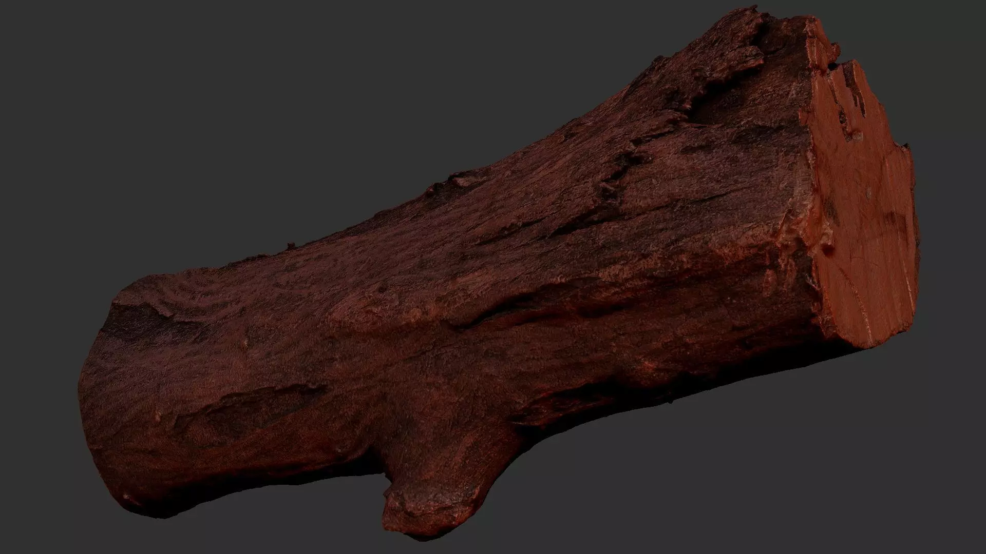Sawn tree trunk wood 3d scan highpoly 3D model_14