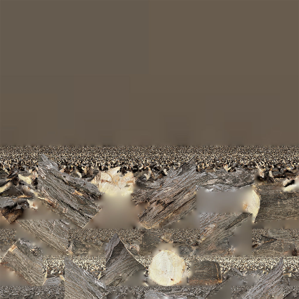 Sawn tree trunk wood 3d scan highpoly 3D model_26