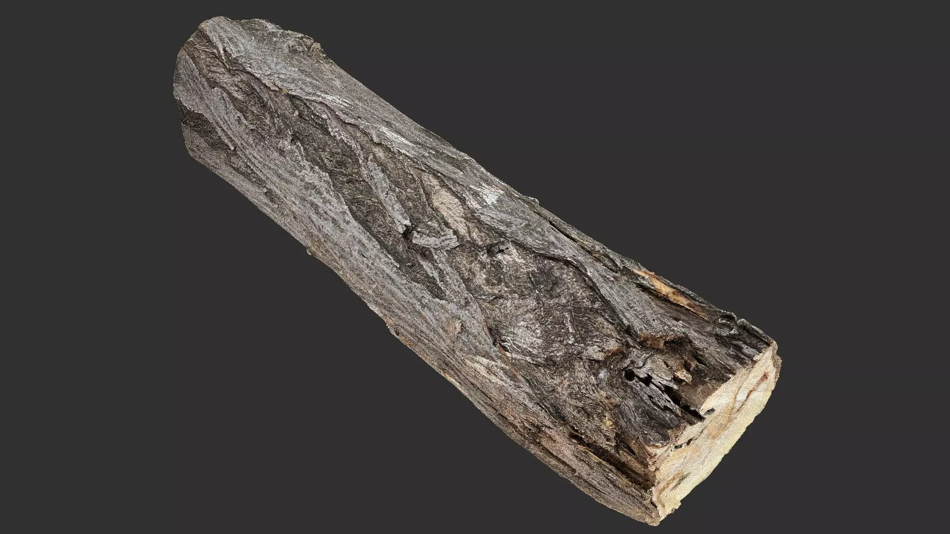 Sawn tree trunk wood 3d scan highpoly 3D model_3