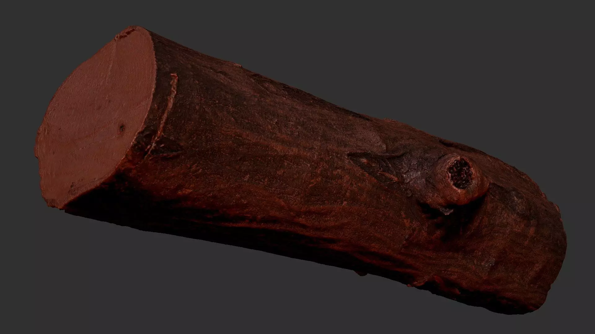 Sawn tree trunk wood 3d scan highpoly 3D model_15