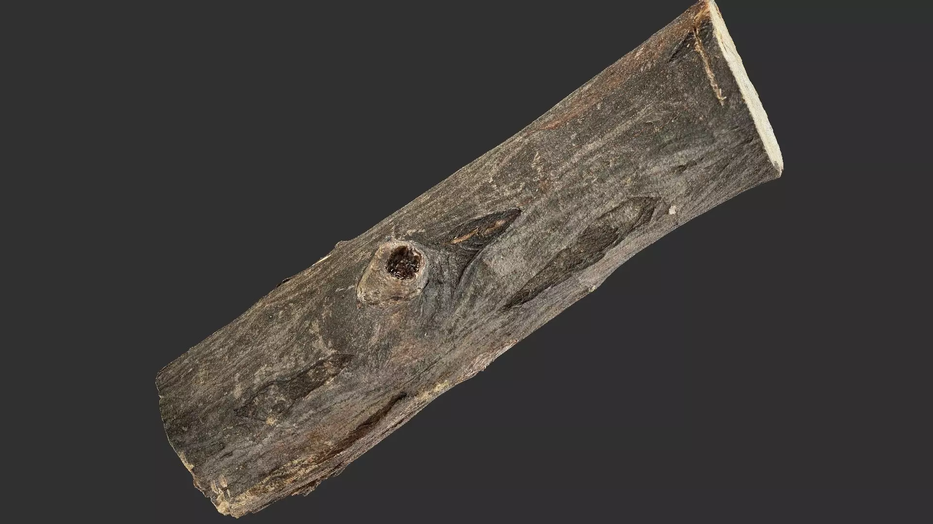 Sawn tree trunk wood 3d scan highpoly 3D model_19