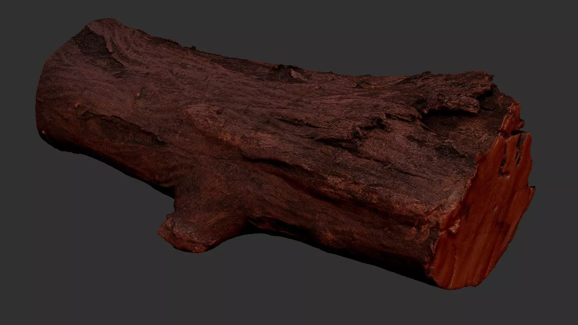 Sawn tree trunk wood 3d scan highpoly 3D model_13