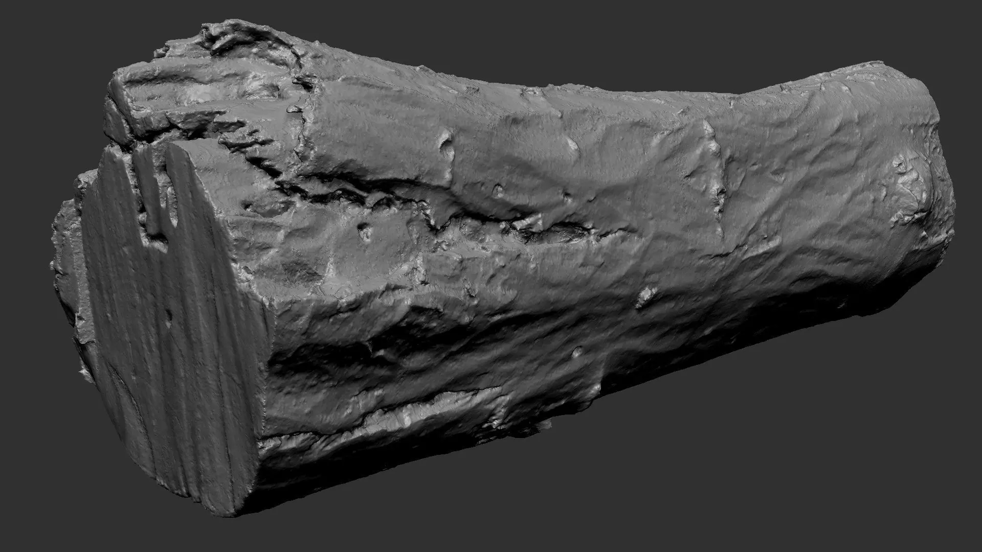 Sawn tree trunk wood 3d scan highpoly 3D model_22