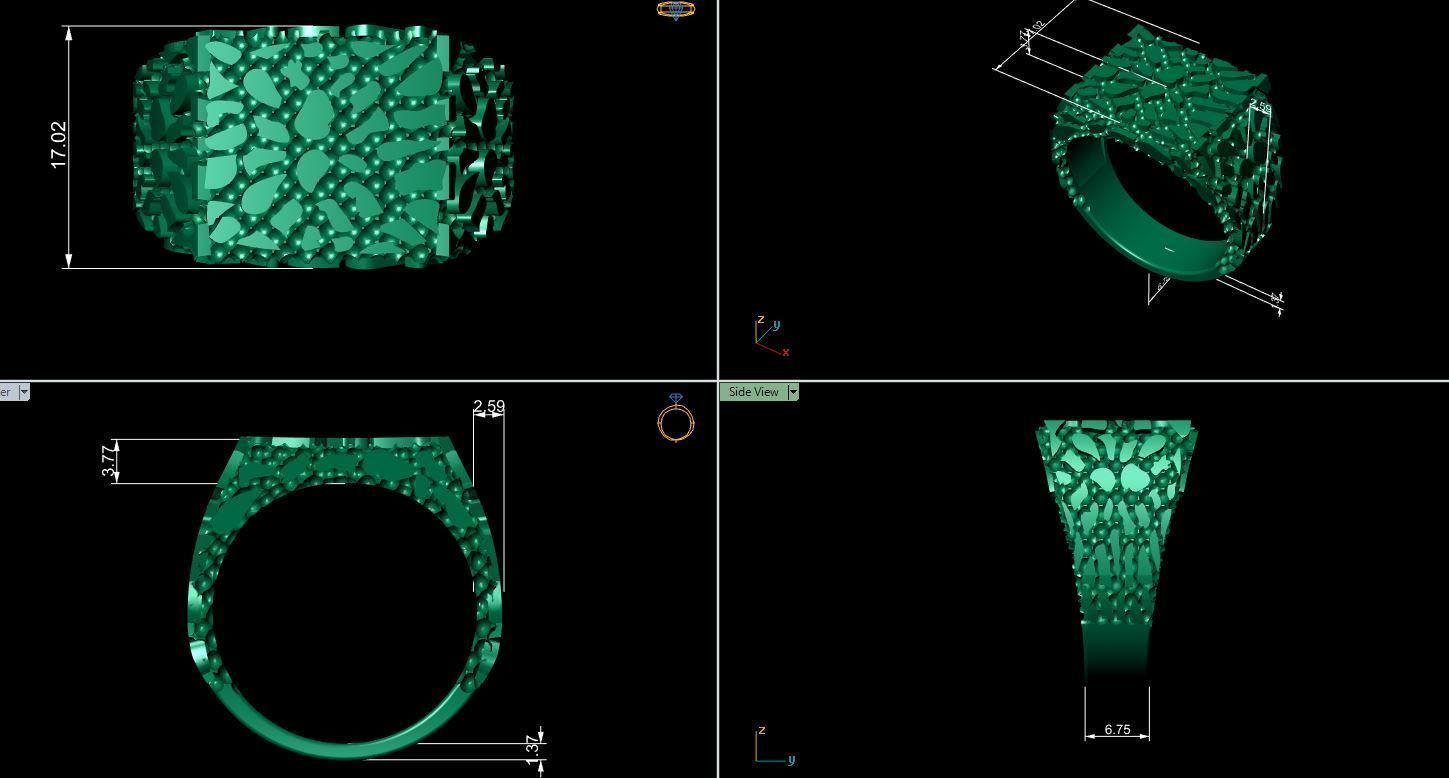 nugget ring 3D model_3