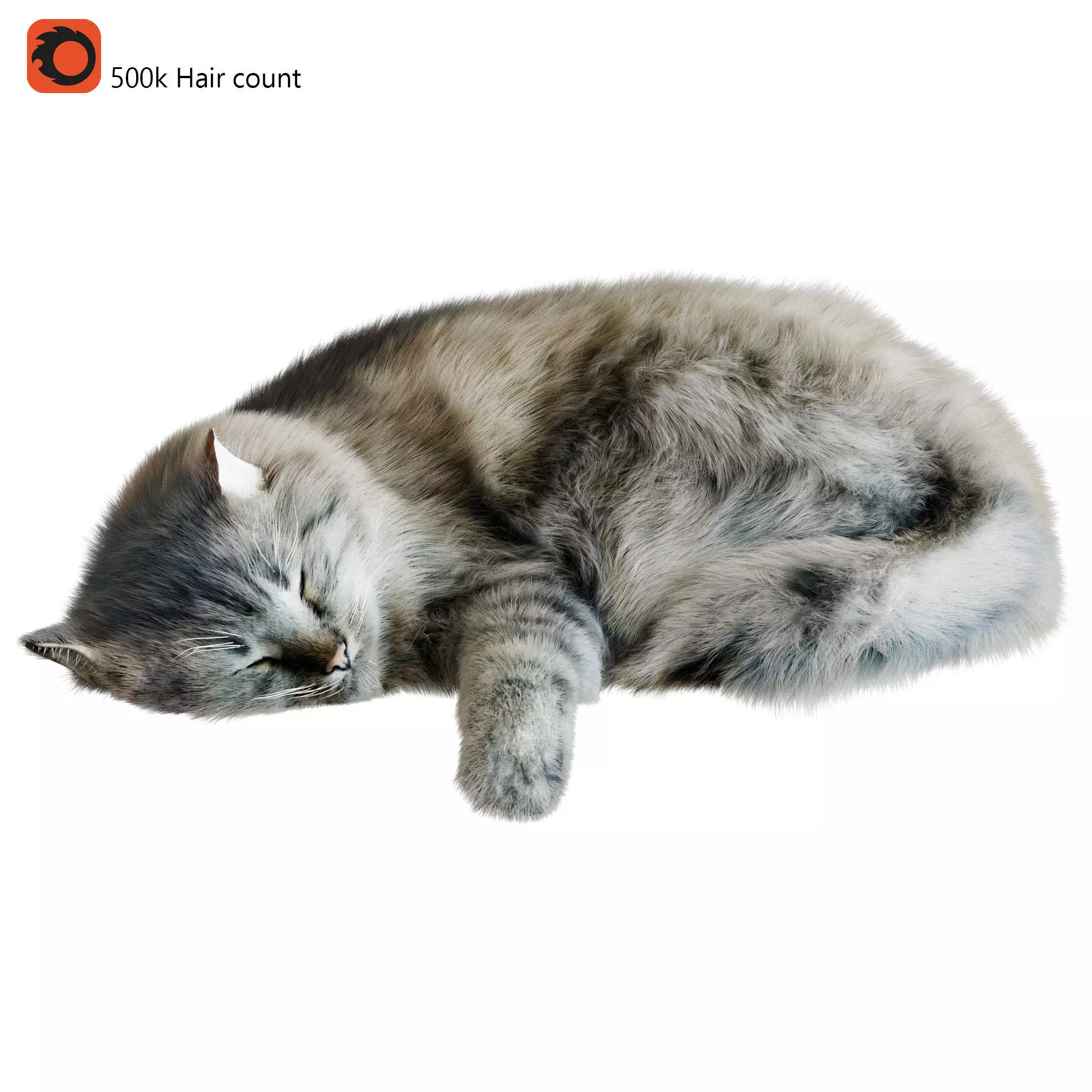 Sleeping Cat Corona 3D model
