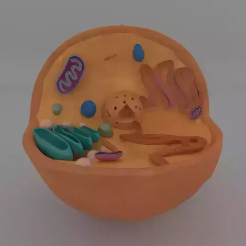 Animal cell Free 3D model