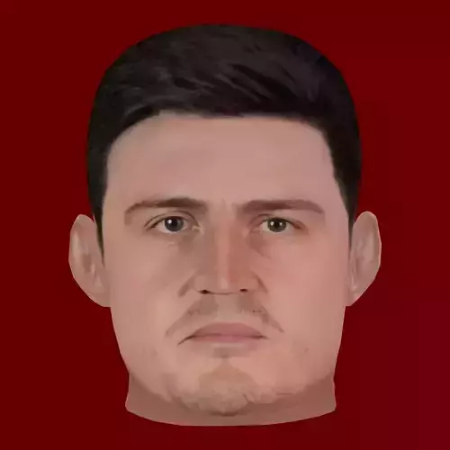 Harry Maguire Head - Low poly head for game