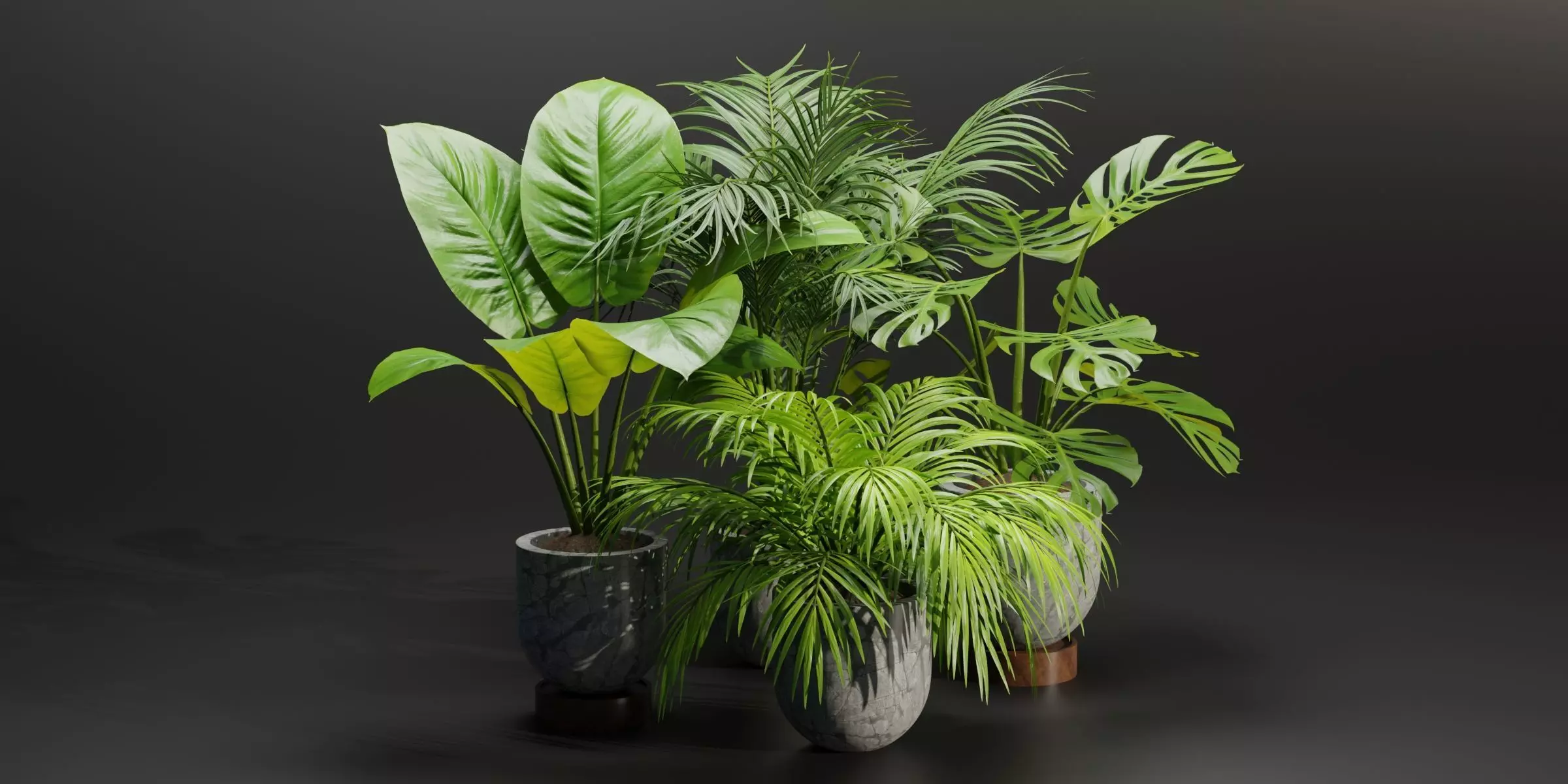 Indoor Plants Collection vol 221-Blender 3D model_0