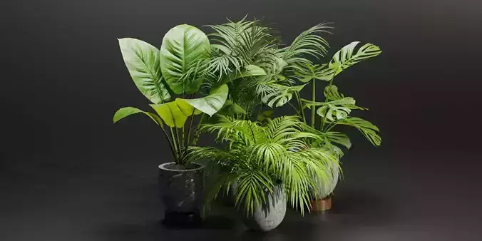 Indoor Plants Collection vol 221-Blender
