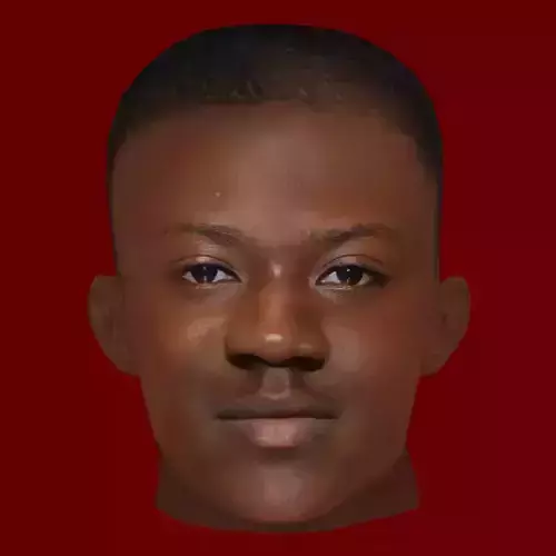 Kobbie Mainoo Head - Low poly head for game