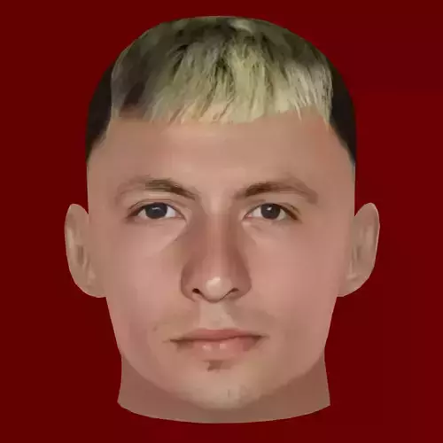 Lisandro Martinez Head - Low poly head for game