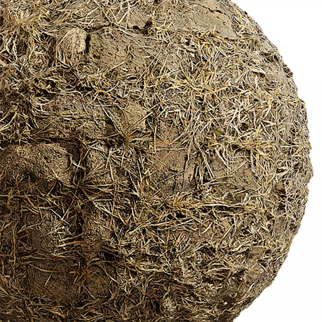 Grass Seamless Texture 2K - EXR 5 - JPG 5 Texture Texture_0