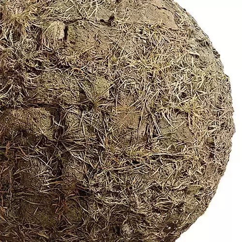 Grass Seamless Texture 2K - EXR 5 - JPG 5 Texture