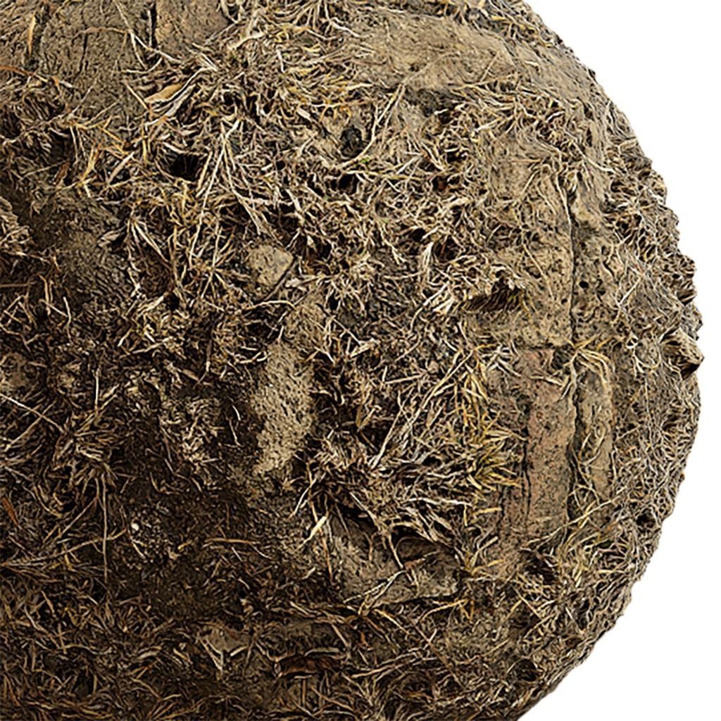 Grass Seamless Texture 2K - EXR 5 - JPG 5 Texture Texture_1