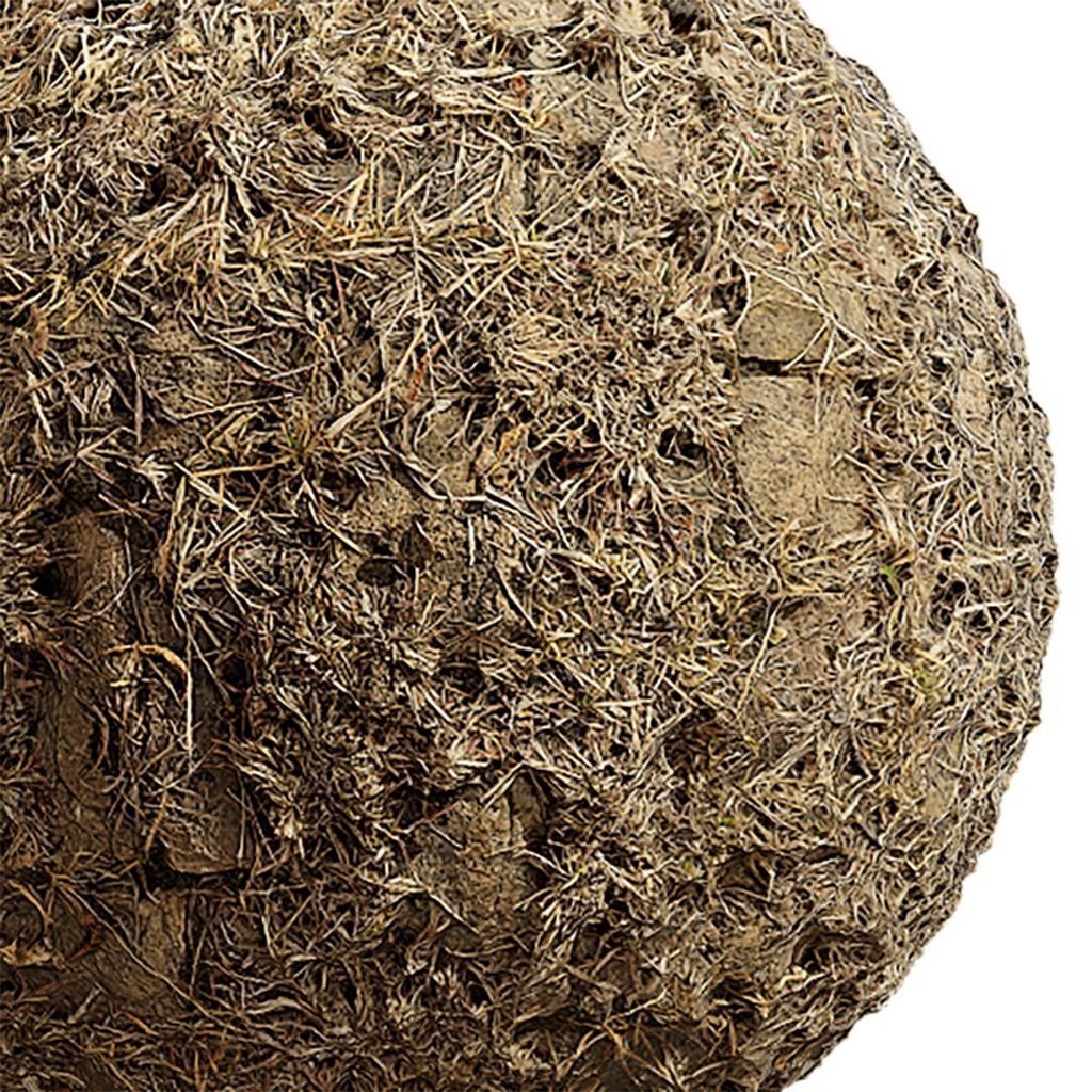 Grass Seamless Texture 2K - EXR 5 - JPG 5 Texture Texture_2