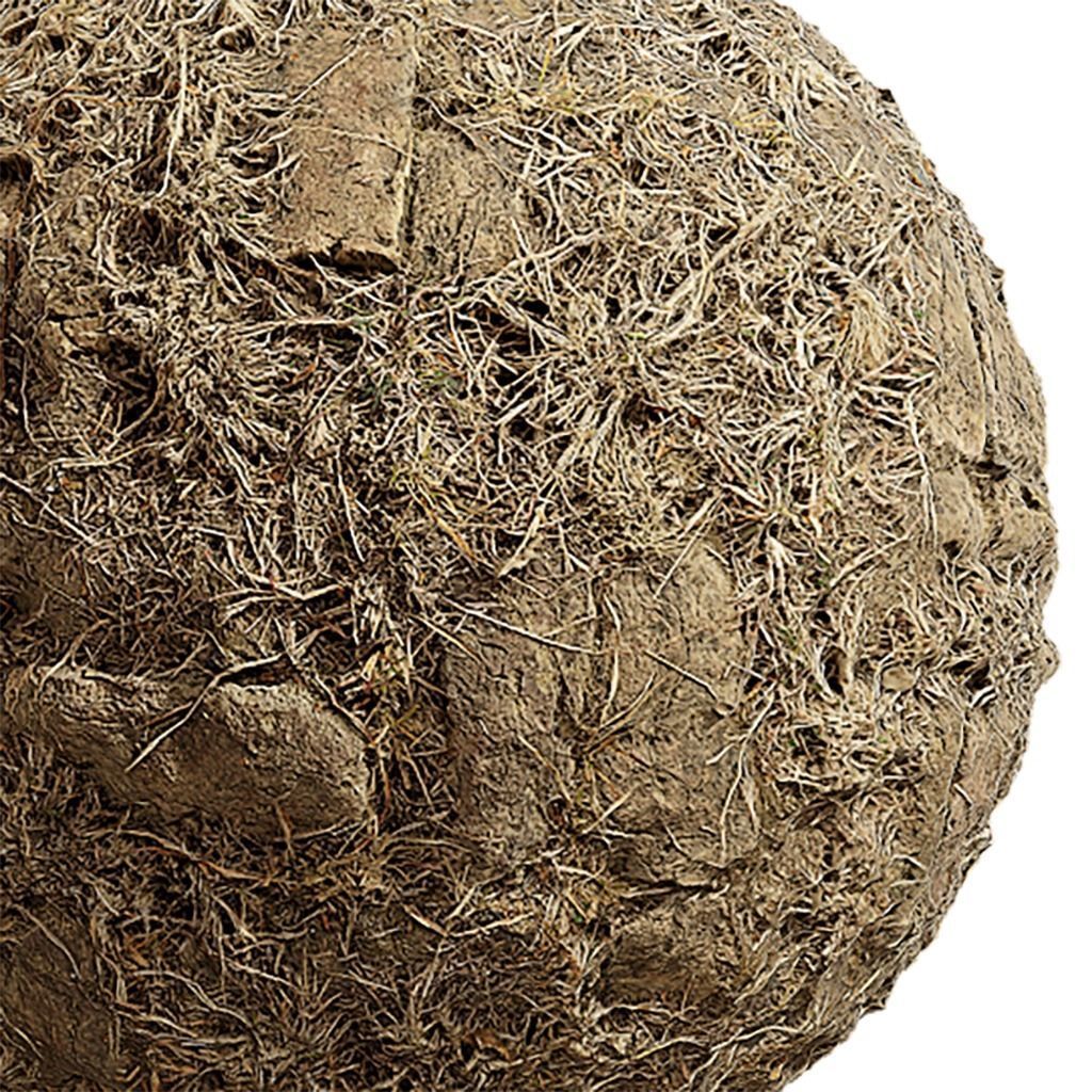 Grass Seamless Texture 2K - EXR 5 - JPG 5 Texture Texture_4
