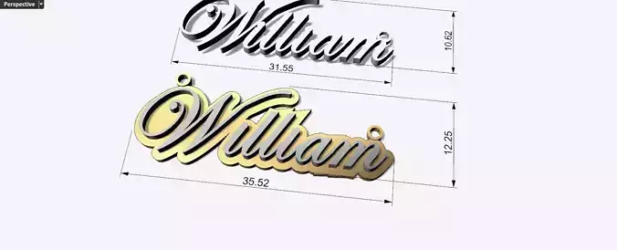William pendant name tag jewelry gold medalion 