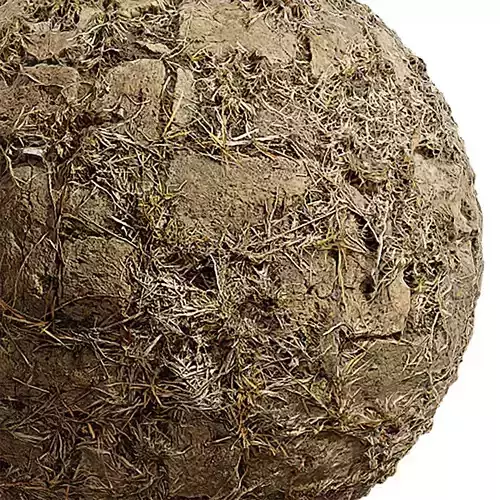 Grass Seamless Texture 2K - EXR 5 - JPG 5 Texture