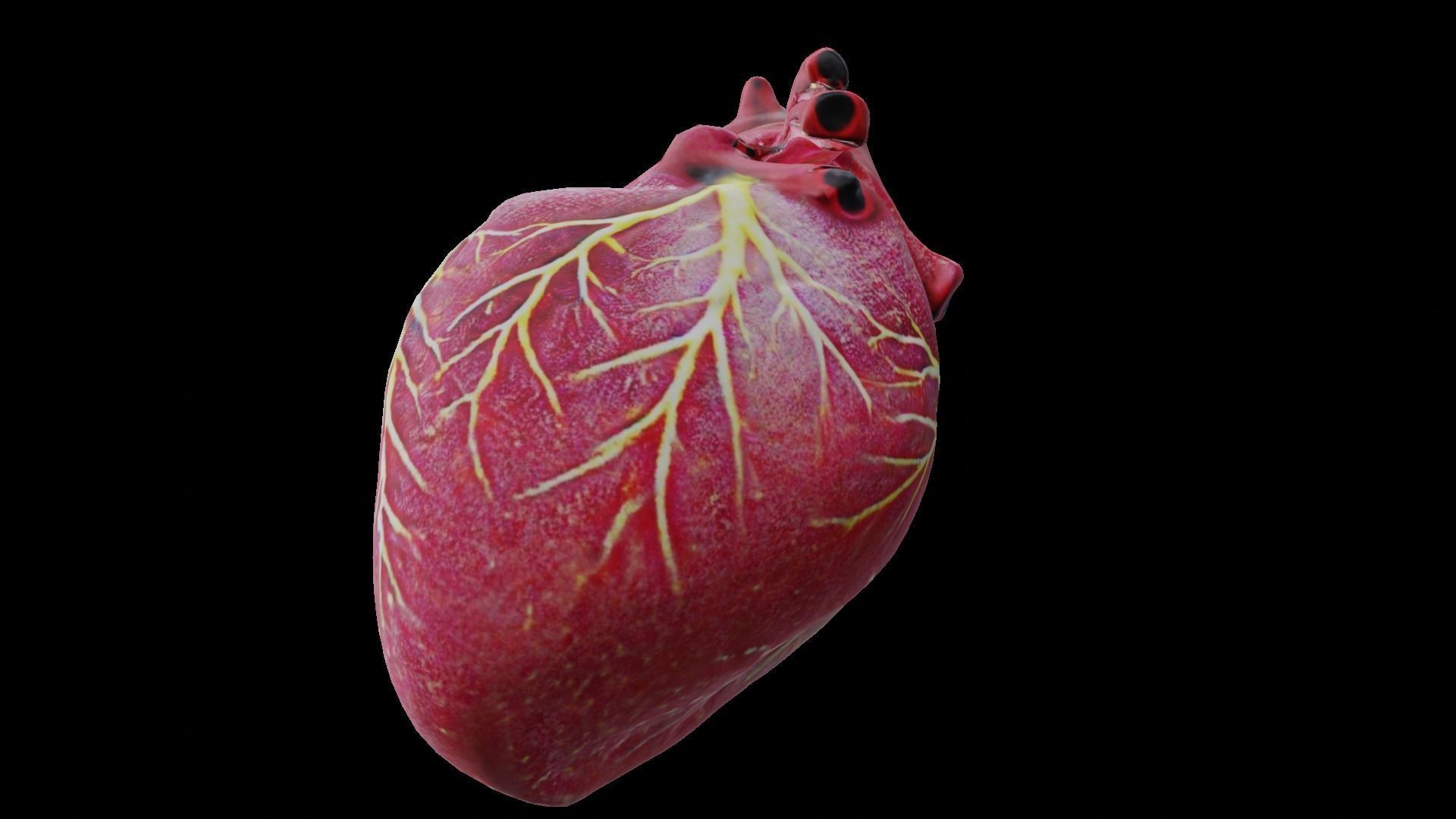 Human heart Low-poly 3D model_15