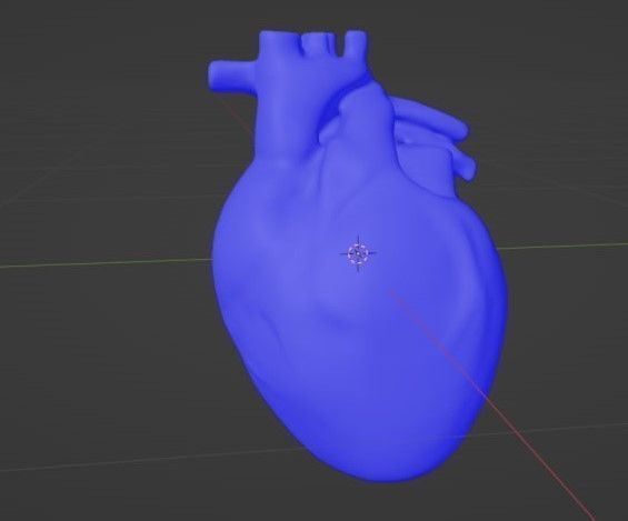 Human heart Low-poly 3D model_14