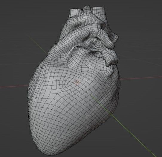 Human heart Low-poly 3D model_7