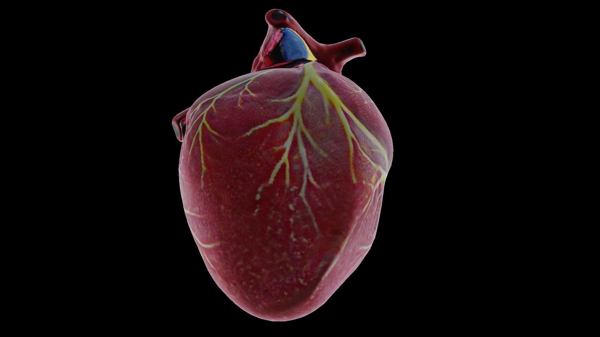 Human heart Low-poly 3D model_10