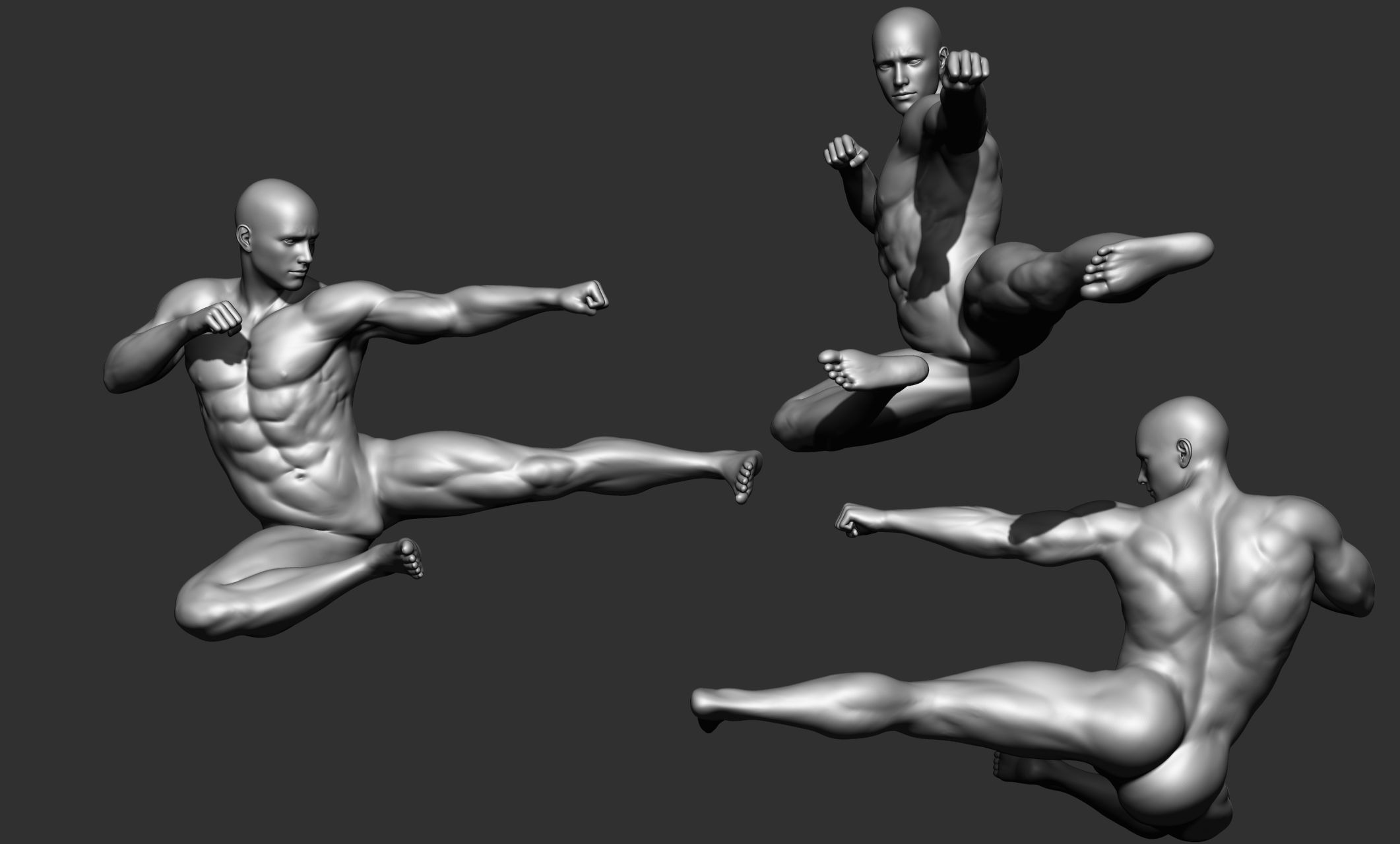 Fighting Action Pose