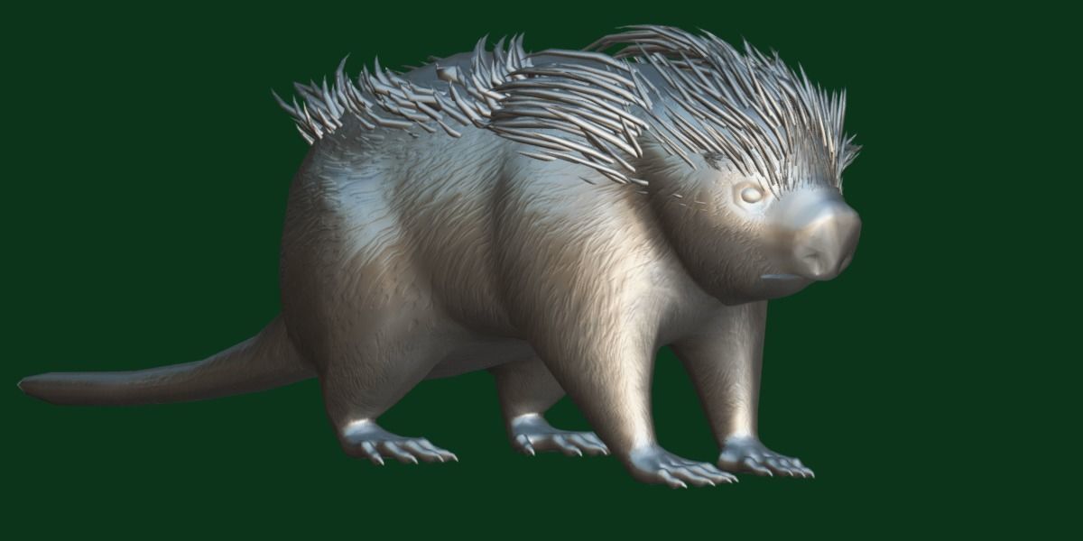 Brazilian Porcupine Rodent Low-poly 3D model_21