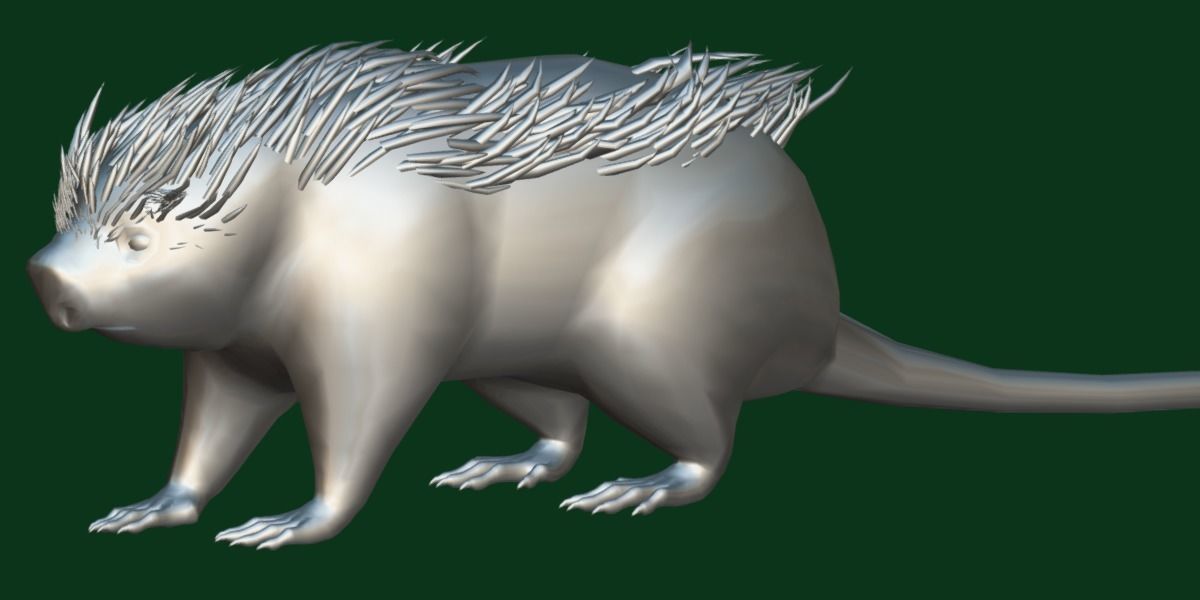 Brazilian Porcupine Rodent Low-poly 3D model_23