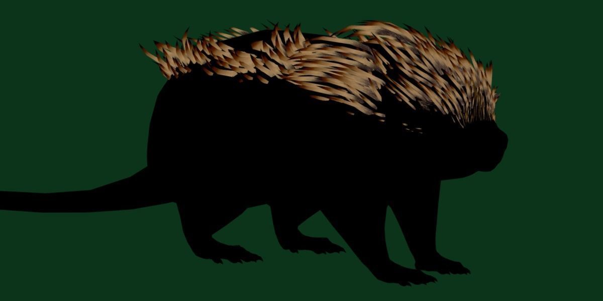 Brazilian Porcupine Rodent Low-poly 3D model_11