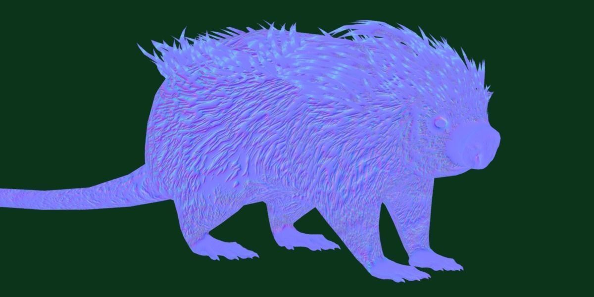 Brazilian Porcupine Rodent Low-poly 3D model_9