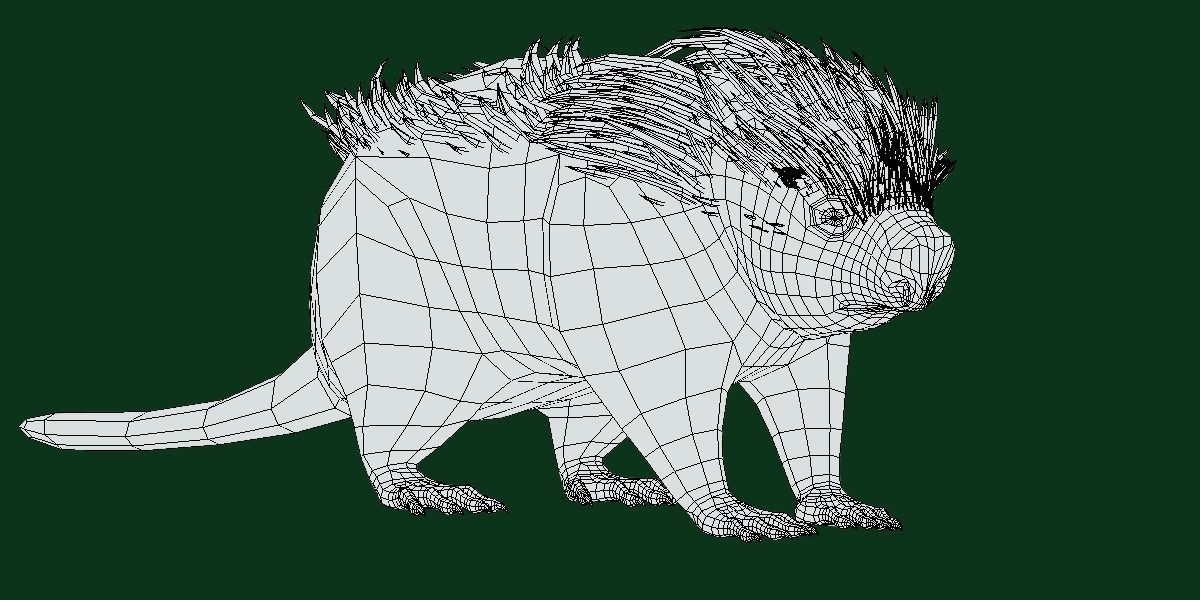 Brazilian Porcupine Rodent Low-poly 3D model_2