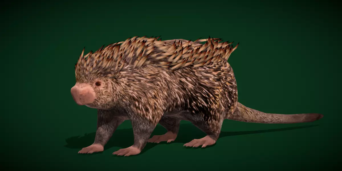 Brazilian Porcupine Rodent Low-poly 3D model_0
