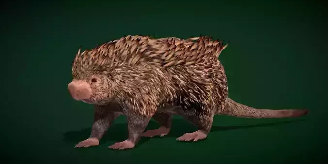 Brazilian Porcupine Rodent Low-poly 3D model