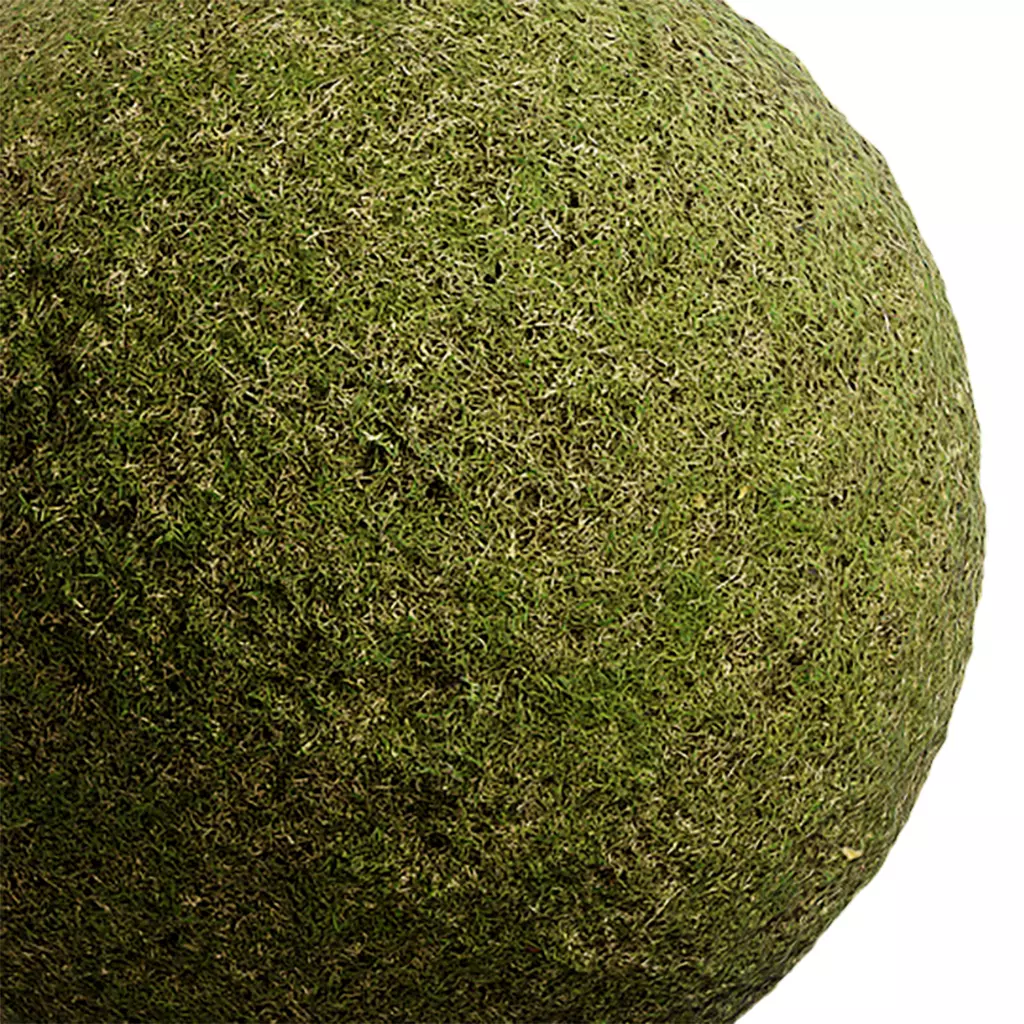 Grass Seamless Texture 2K - EXR 5 - JPG 5 Texture Texture_0