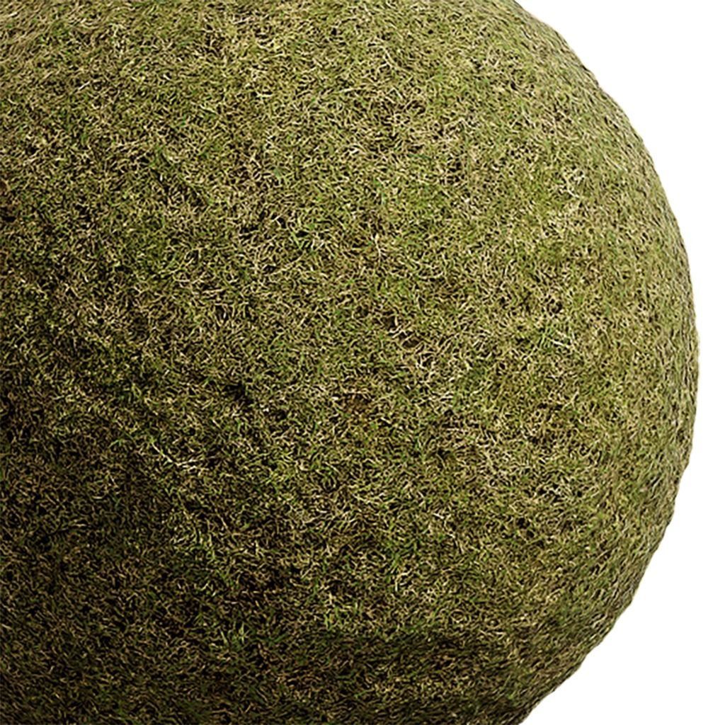Grass Seamless Texture 2K - EXR 5 - JPG 5 Texture Texture_1