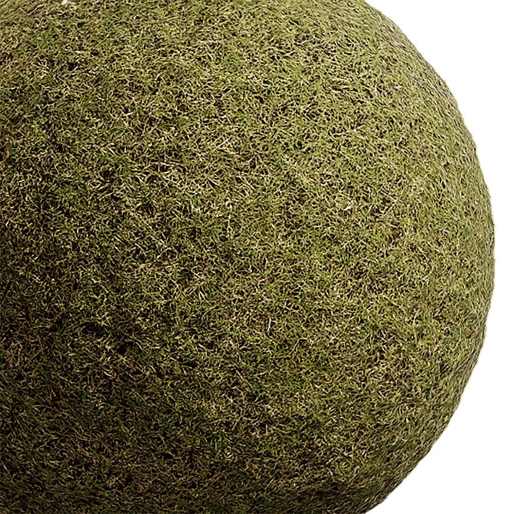 Grass Seamless Texture 2K - EXR 5 - JPG 5 Texture Texture_2