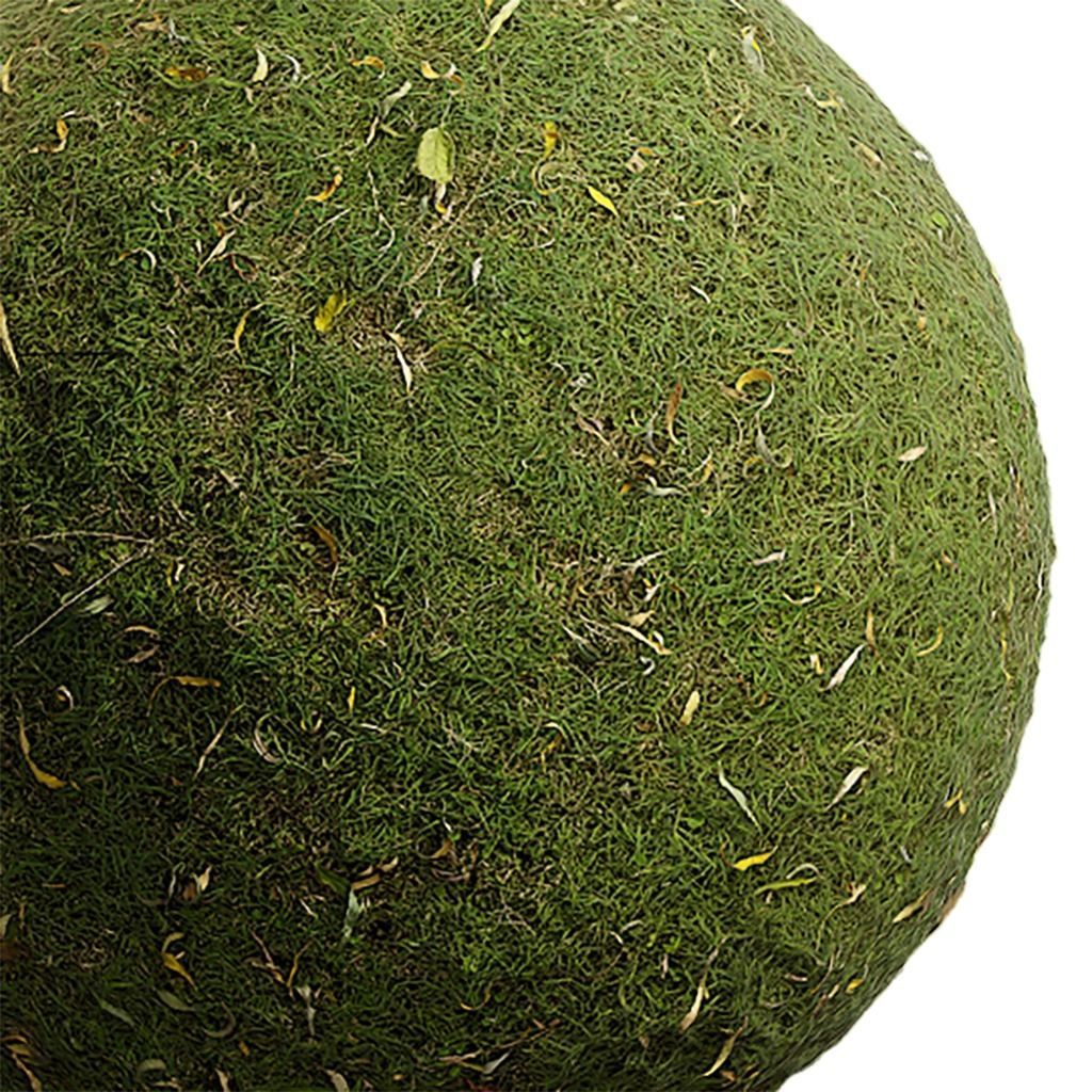Grass Seamless Texture 2K - EXR 5 - JPG 5 Texture Texture_4