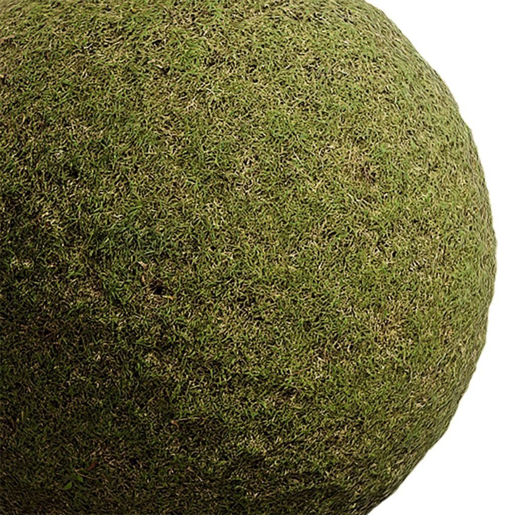 Grass Seamless Texture 2K - EXR 5 - JPG 5 Texture Texture_3