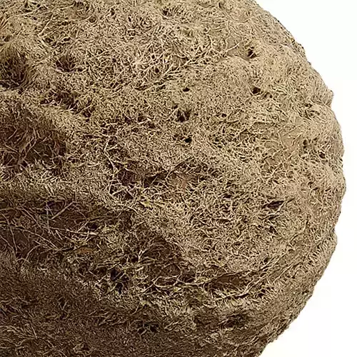 Grass Seamless Texture 2K - EXR 5 - JPG 5 Texture