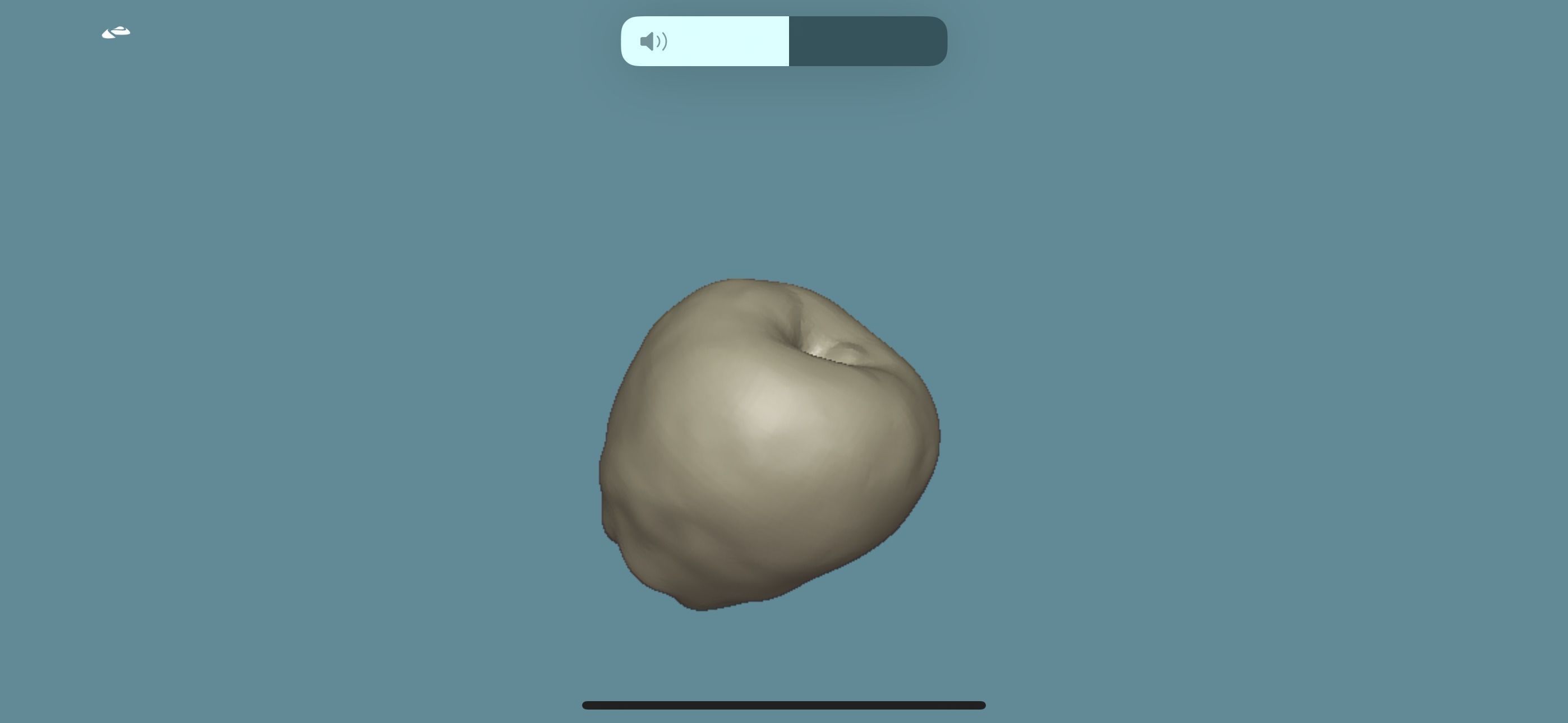 Granny smith Apple Low-poly 3D model_4